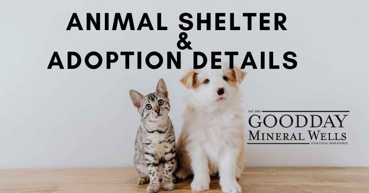 Mineral Wells Animal Shelter